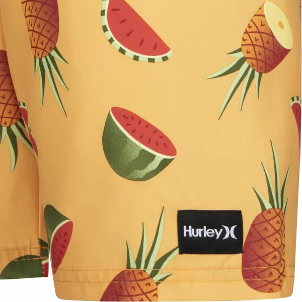Hurley Boys' Pull on Swim Trunks