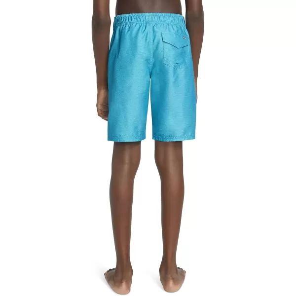 Hurley Boys' Pull on Swim Trunks