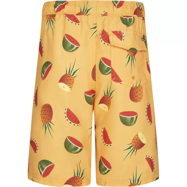 Hurley Boys' Pull on Swim Trunks