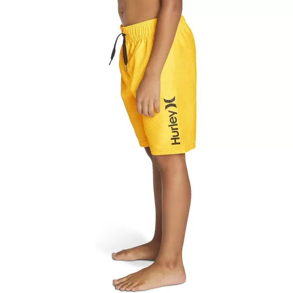 Hurley Boys' Pull on Swim Trunks