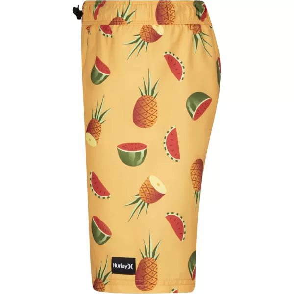 Hurley Boys' Pull on Swim Trunks
