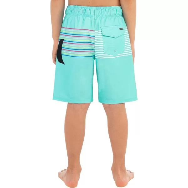 Hurley Boys' Pull on Swim Trunks
