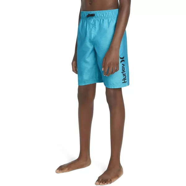 Hurley Boys' Pull on Swim Trunks