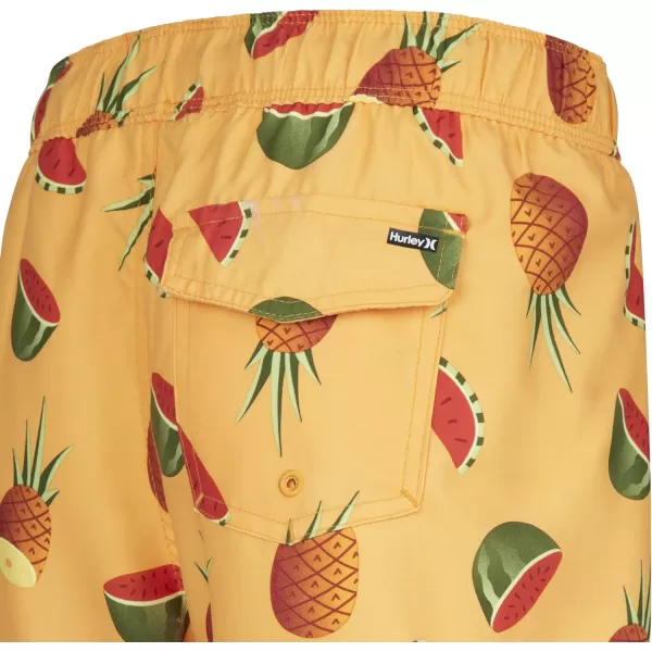 Hurley Boys' Pull on Swim Trunks