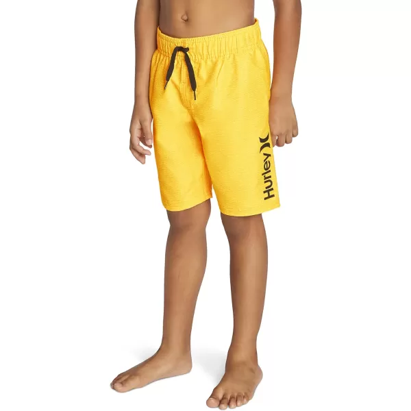 Hurley Boys' Pull on Swim Trunks