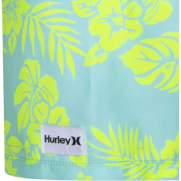 Hurley Boys' Pull on Swim Trunks