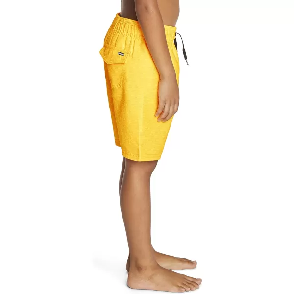 Hurley Boys' Pull on Swim Trunks
