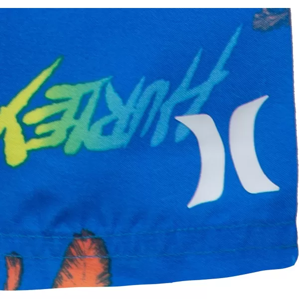 Hurley Boys' Swim Suit 2-Piece Outfit Set