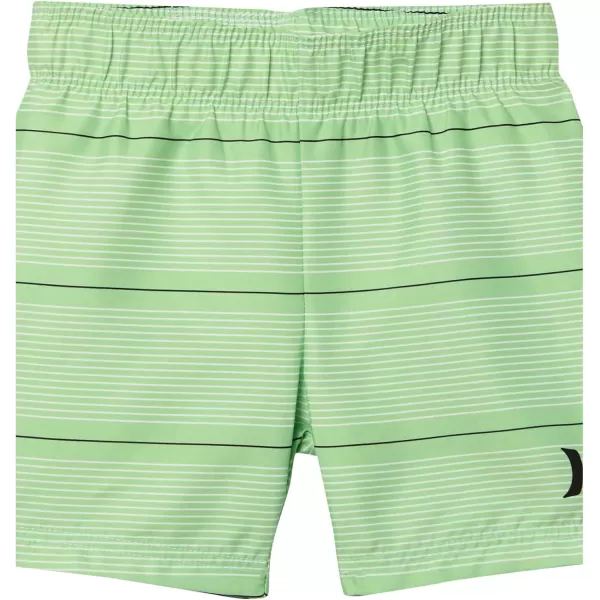 Hurley Boys' Swim Suit 2-Piece Outfit Set
