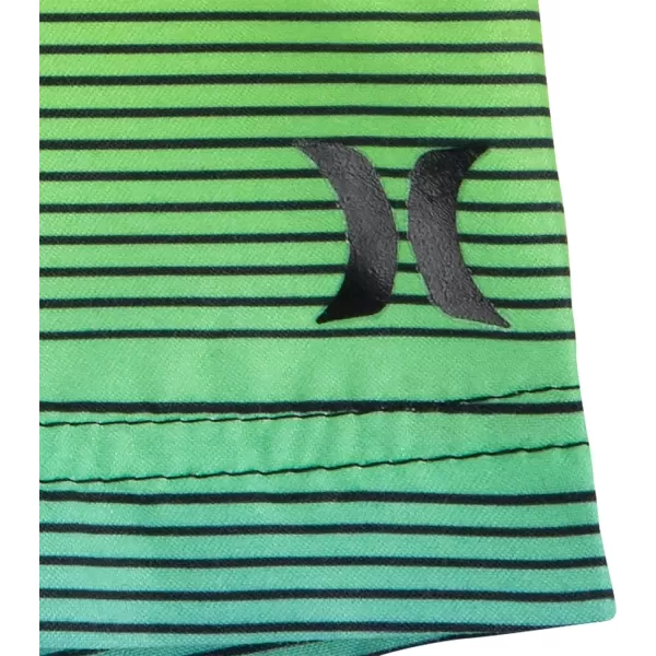 Hurley Boys' Swim Suit 2-Piece Outfit Set