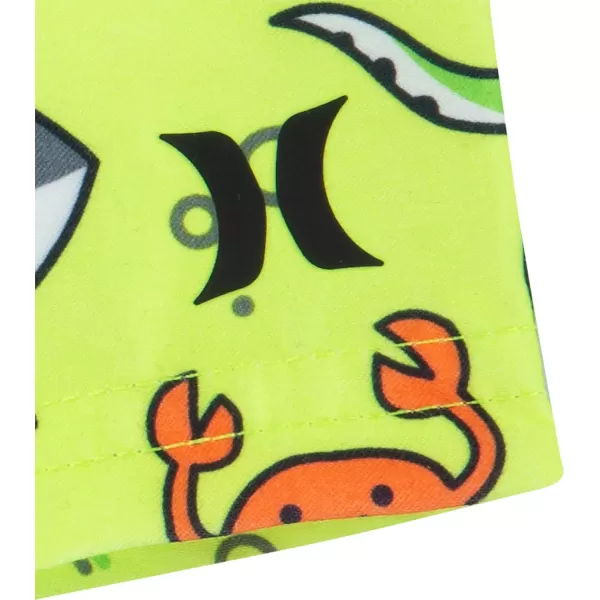 Hurley Boys' Swim Suit 2-Piece Set