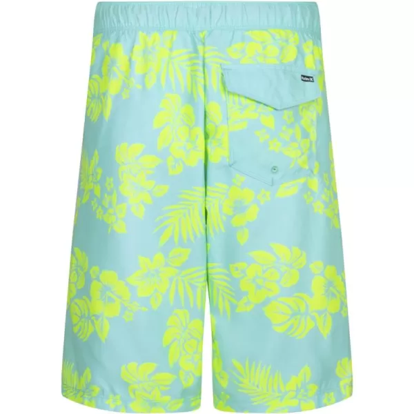 Hurley Boys' Pull on Swim Trunks