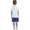 imageHurley Boys And Toddler Boys Polo and Shorts 2piece Outfit SetBlue Ice Heather