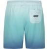 imageHurley Boys Pull on Swim TrunksMint Candy Ombre