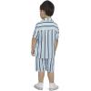 imageHurley babyboys And Toddler Boys Short Sleeve Button Up Shirt and Shorts 2piece Outfit SetDutch Blue Stripe