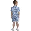 imageHurley babyboys And Toddler Boys Short Sleeve Button Up Shirt and Shorts 2piece Outfit SetLight ChambrayWhite