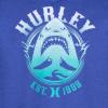 imageHurley Boys Long Sleeve Hooded Graphic TShirtThunderberry Heather