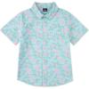 Blue Ice/Flamingo