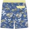 imageHurley Boys Board ShortsShoreline Blue