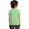 imageHurley Boys Soft Basic Cloud Slub TShirtGreen Algae