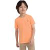 imageHurley Boys Soft Basic Cloud Slub TShirtSunset Glow Heather