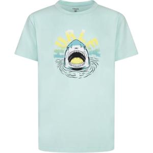 imageHurley Boys UPF 50 Rash Guard Swim ShirtMint Candy Heather