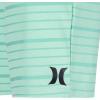 imageHurley Boys H20dri Pull on ShortsGreen Glow Stripe