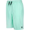 imageHurley Boys H20dri Pull on ShortsGreen Glow
