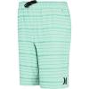 imageHurley Boys H20dri Pull on ShortsGreen Glow Stripe