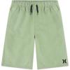 imageHurley Boys H20dri Pull on ShortsPalm Green