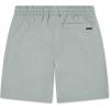 imageHurley Boys Soft Basic Pull on ShortsAqua Grey Heather