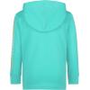 imageHurley boys Long Sleeve Hooded Graphic TshirtFiji