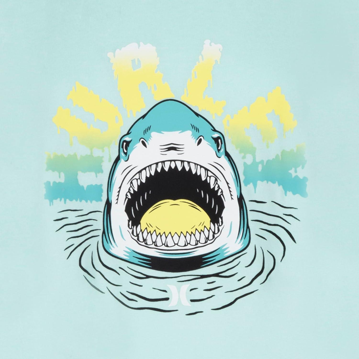 imageHurley Boys DriFit One and Only Graphic TShirt Little KidsMint Candy Heather