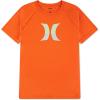 Total Orange/Icon