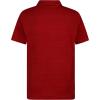 image:imageDriFIT Polo ShirtGym Red Heather