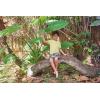 image:imageHurley Baby and Toddler Boys Soft Basic Cloud Slub TShirt and Shorts 2Piece Outfit SetYellowMulti Palms