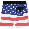 image:imageHurley Board ShortsAmericana