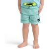 image:imageHurley Board ShortsGreen Glow Stretch