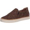 Brown Cheetah