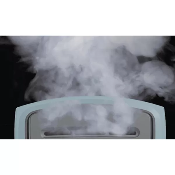 BLACK+DECKER HGS200 Advanced Handheld Steamer, Gray/Blue