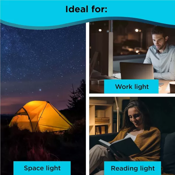 BLACK+DECKER Snake Light, Use for Book Light, Desk Light, and Work Light, 2 Settings, Flexible and Rechargeable 