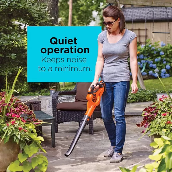 BLACK+DECKER 20V MAX* Cordless Sweeper with Power Boost 