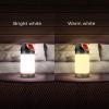 imageBLACKDECKER LED Lantern 2Pack 300 Lumens 360 Flashlight for Camping with SOS Mode 12 Hours AA Battery Powered Multiwhite Hook 5 Modes IP65 Waterproof Camping Essentials Tent Light BlackoutsOne Pack