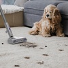 image:imageBlackDecker Powerseries Corded 4 in 1 Stick Vacuum Upright to HandVac Multi Surface LED Floor Head HEPA Filtration Powerful 14k Pafor Hard Floor Low Carpet Pet Hair Home amp Office use Grey