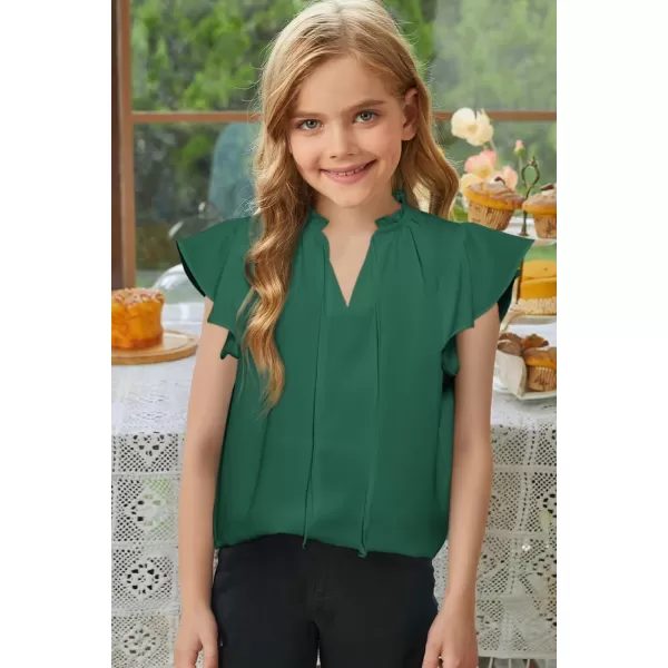 Girls Cute Ruffle Short Sleeve T Shirts Casual V Neck Chiffon Blouse Tops 6-15 Years