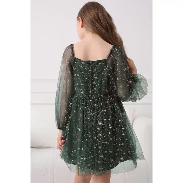 Girls Tulle Dress Sheer Mesh Puff Long Sleeve Star Overlay A Line Dress