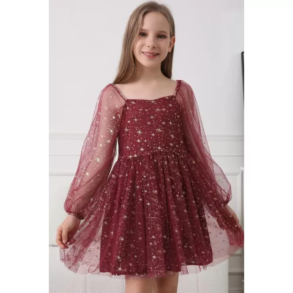 Girls Tulle Dress Sheer Mesh Puff Long Sleeve Star Overlay A Line Dress
