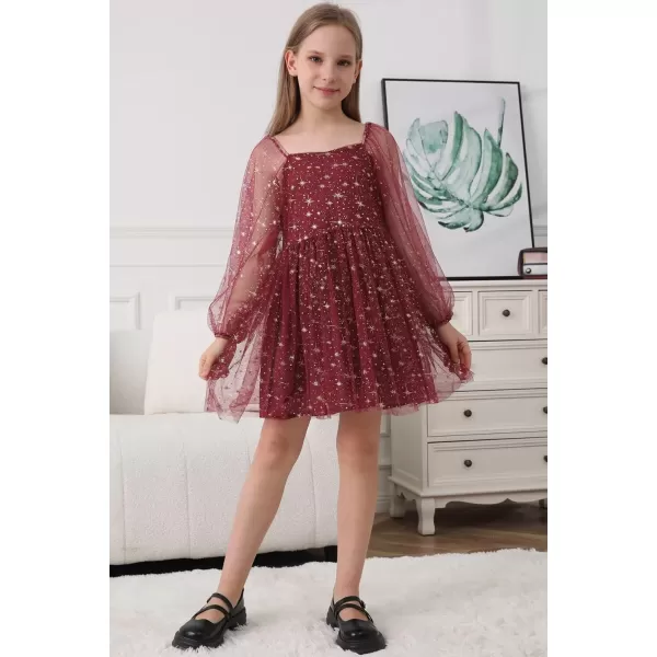Girls Tulle Dress Sheer Mesh Puff Long Sleeve Star Overlay A Line Dress