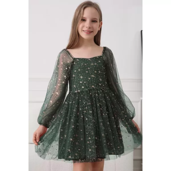 Girls Tulle Dress Sheer Mesh Puff Long Sleeve Star Overlay A Line Dress