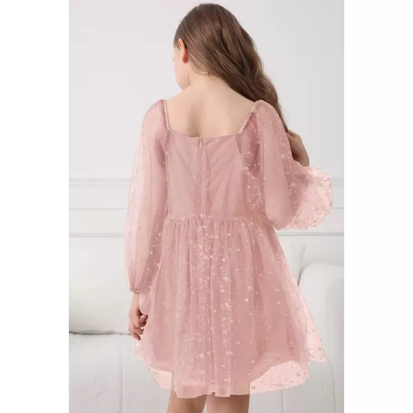 Girls Tulle Dress Sheer Mesh Puff Long Sleeve Star Overlay A Line Dress